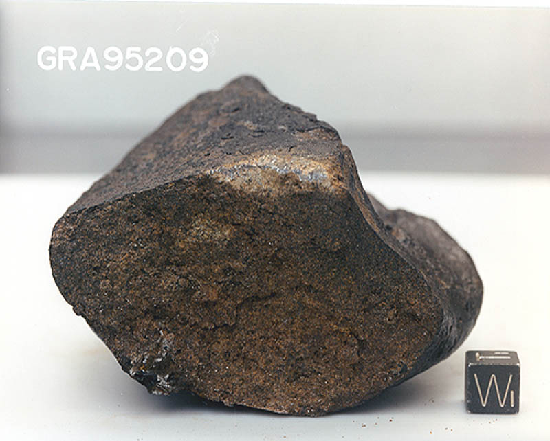 GRA95209g.jpg