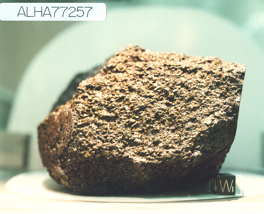 ALHA77257D.jpg