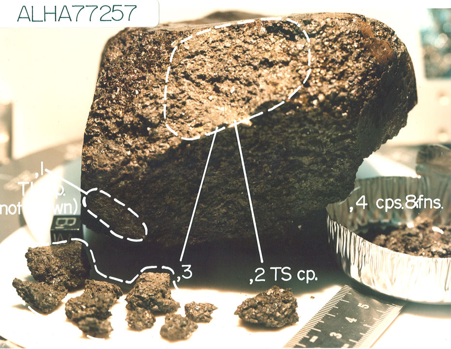 ALHA77257G.jpg