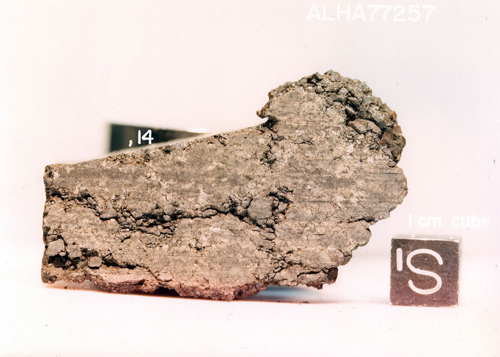 ALHA77257P.jpg