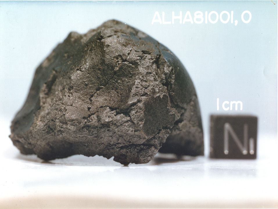 ALHA81001A.jpg