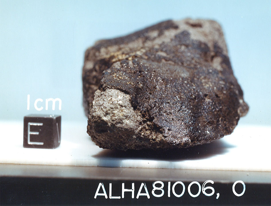 alha81006d.jpg