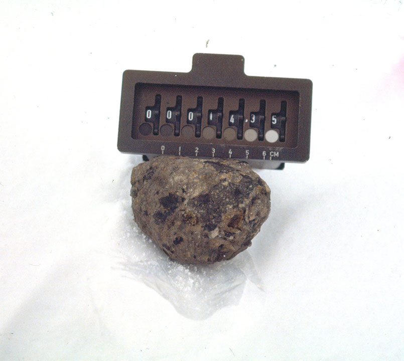 alha81011(1435)peuc.jpg