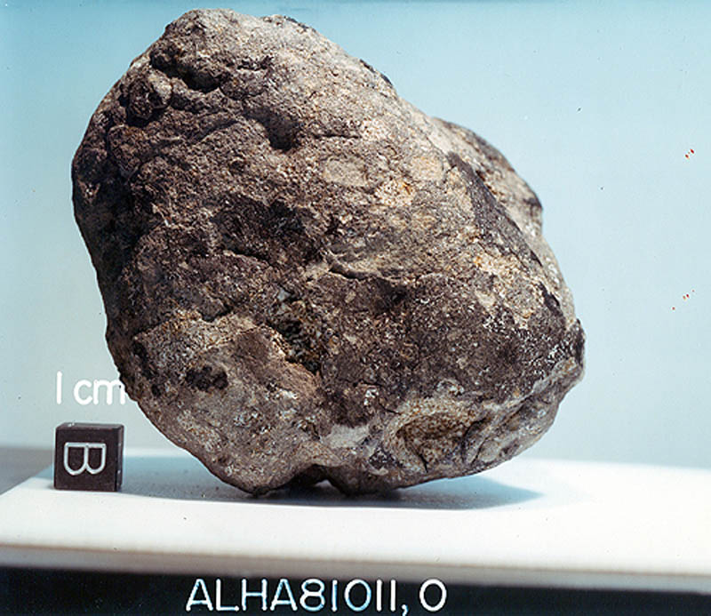 ALHA81011E.jpg