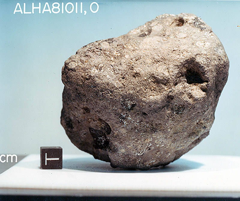 alha81011f.jpg