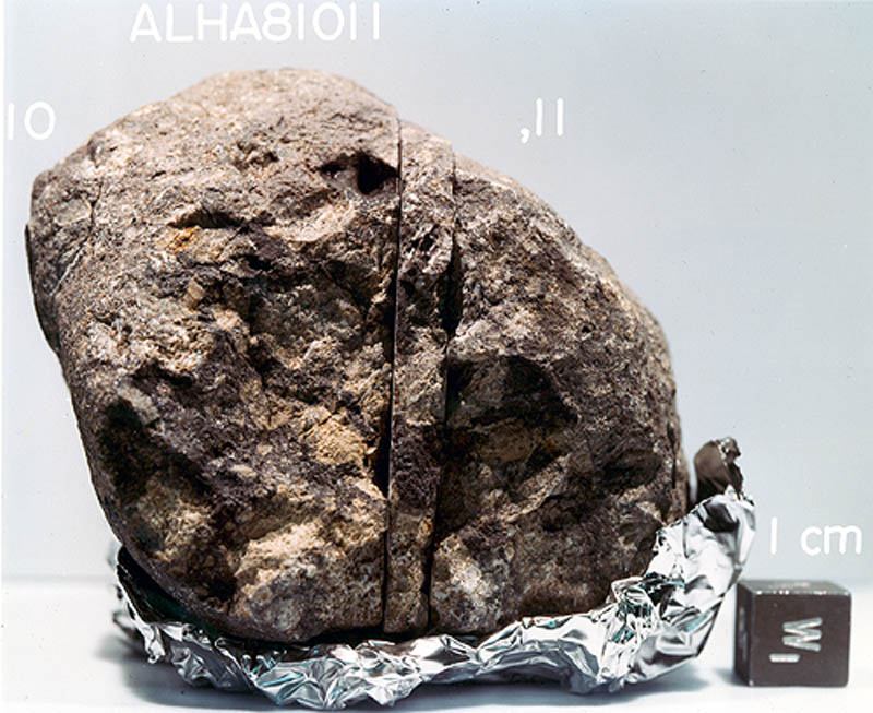 ALHA81011I.jpg