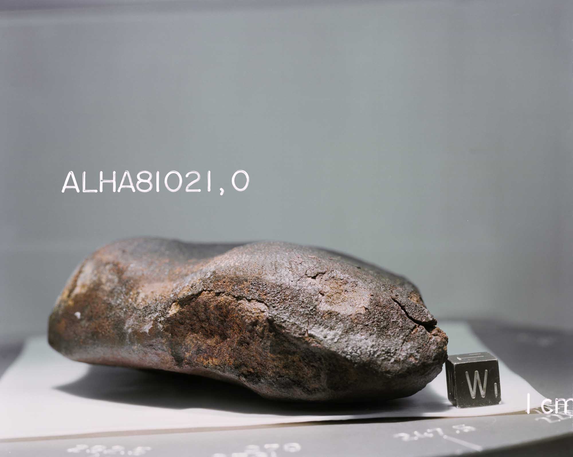 ALHA81021(s82-39970).jpg