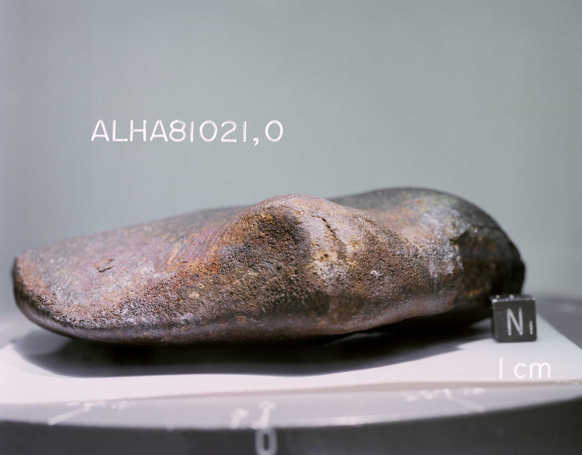 ALHA81021(s82-39972).jpg