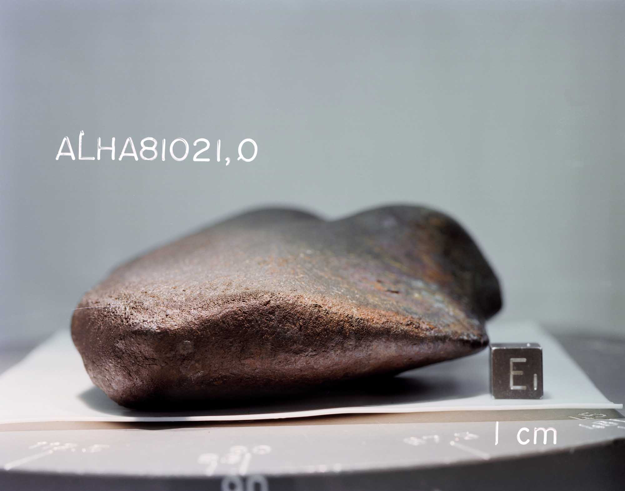 ALHA81021(s82-39973).jpg