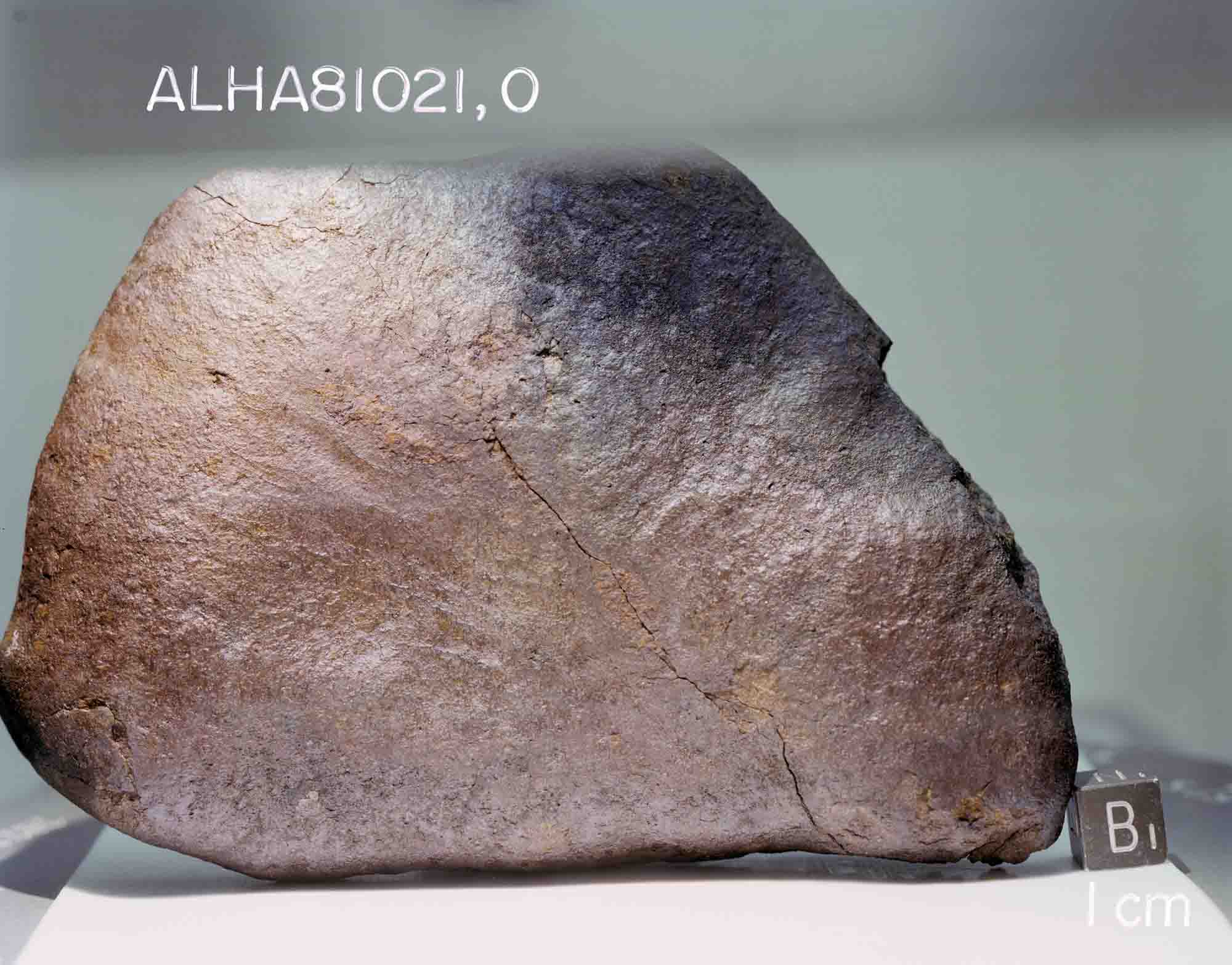 ALHA81021(s82-39974).jpg