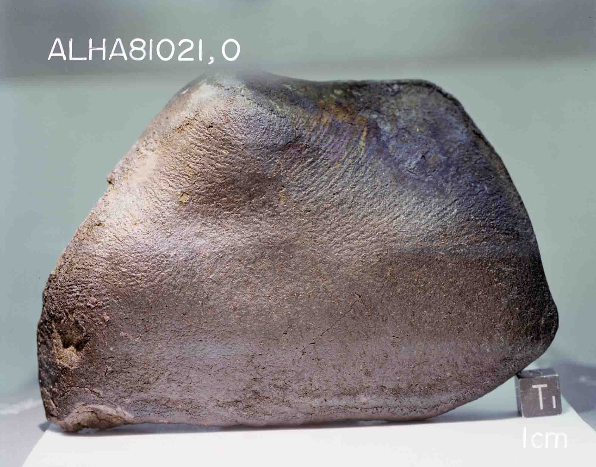 ALHA81021(s82-39975).jpg