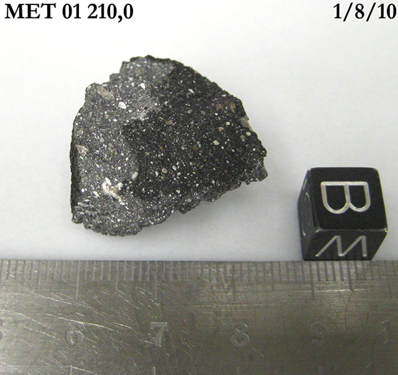 MET01210,0BW.jpg