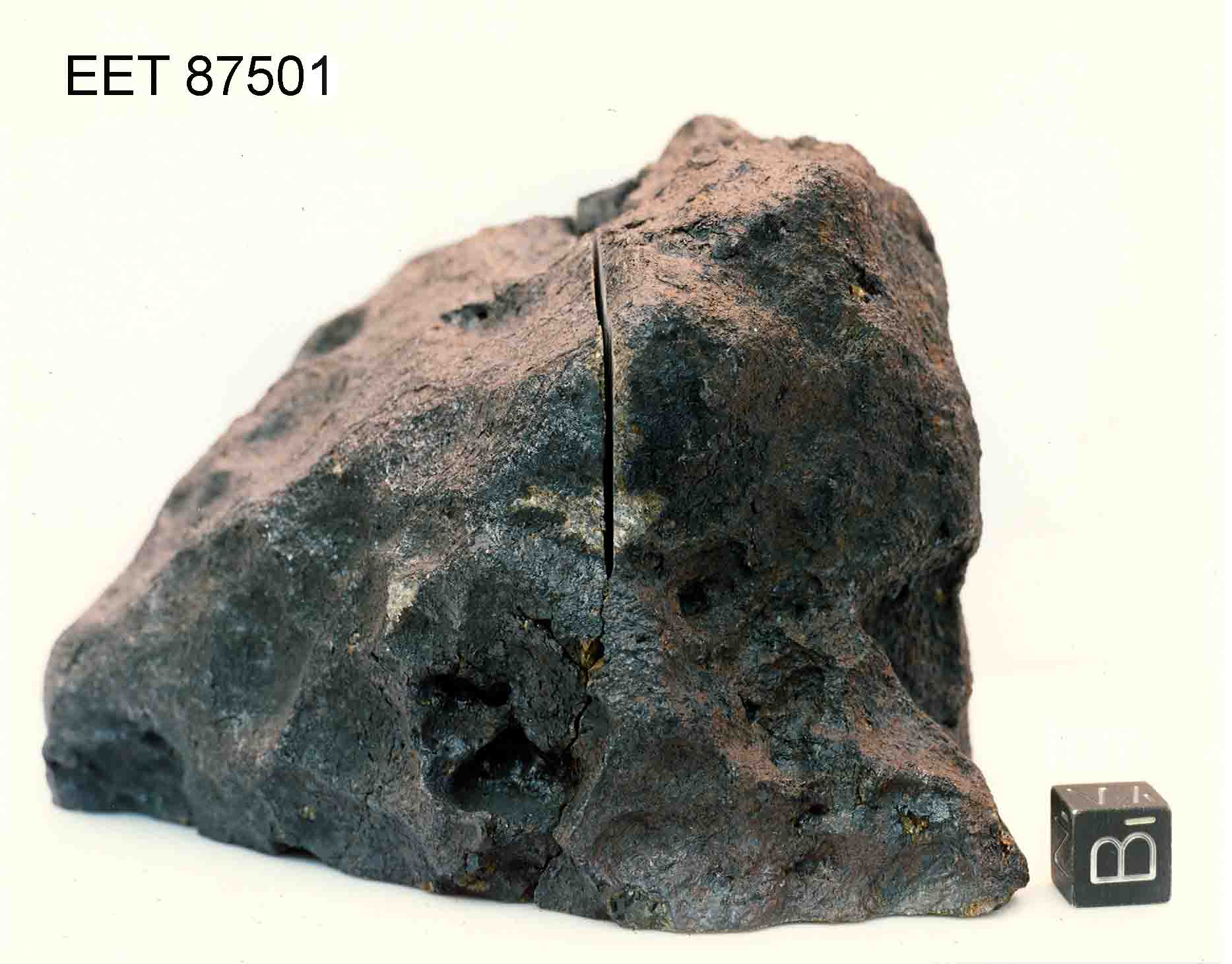 EET87501O.jpg