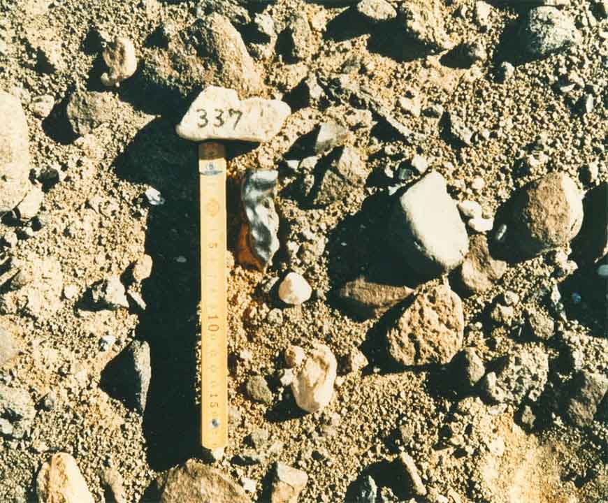 DRPA78003field.jpg