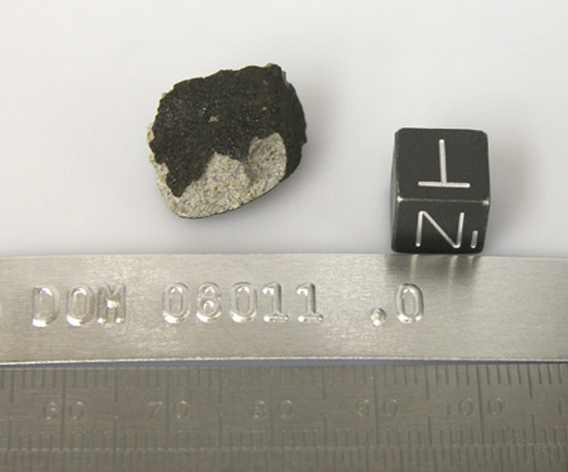 DOM08011,0N.jpg
