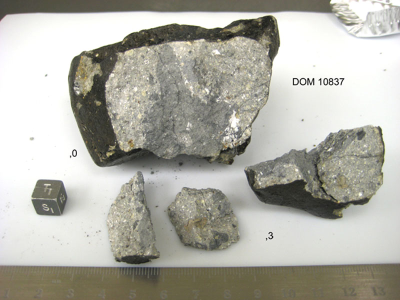 dom10837,0,3.jpg