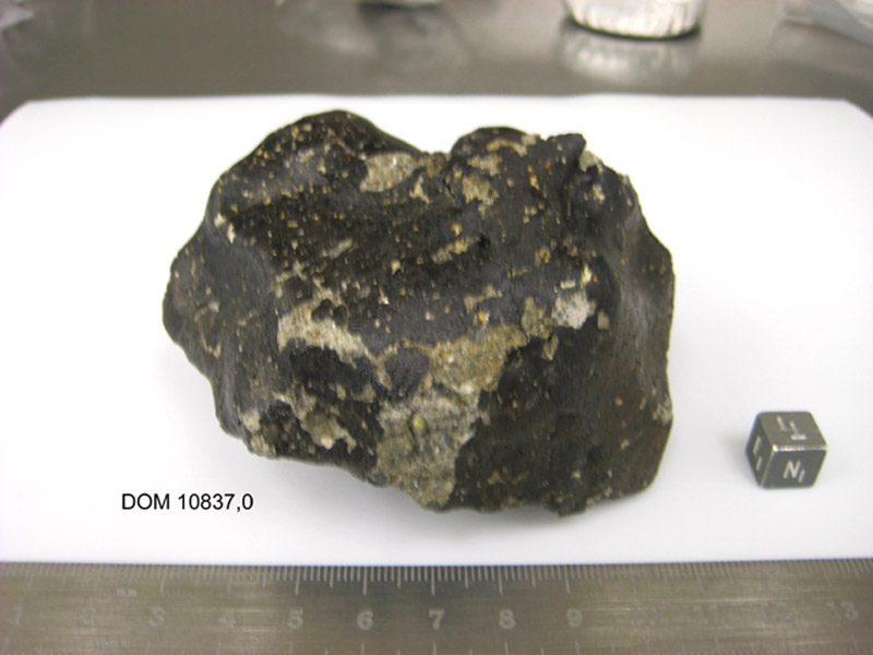 dom10837,0n.jpg