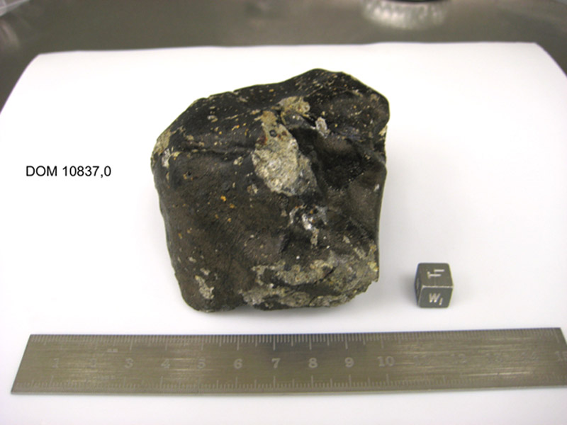 dom10837,0w.jpg