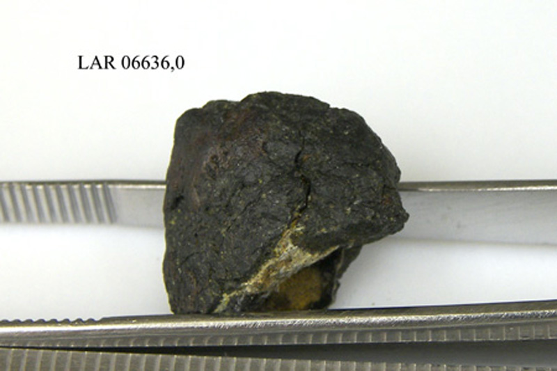 lar06636.jpg