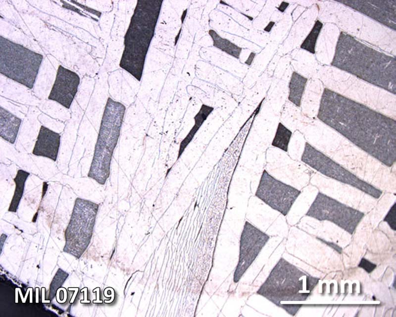 MIL07119,2_2.5x_ref.jpg