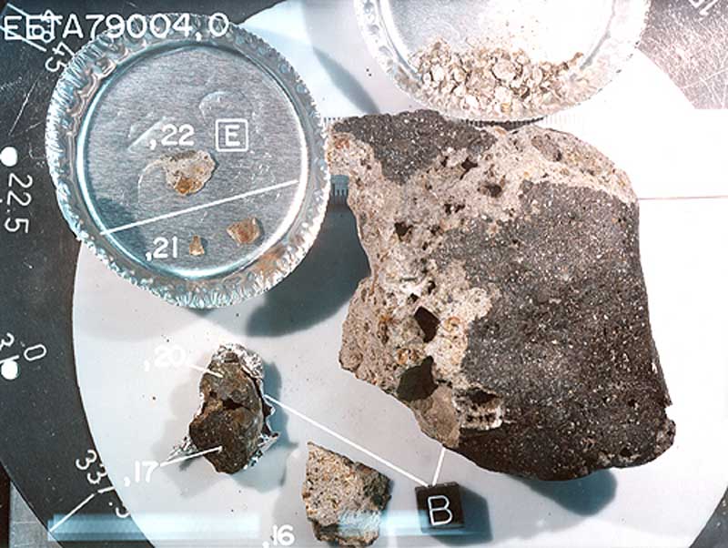 eeta79004l.jpg