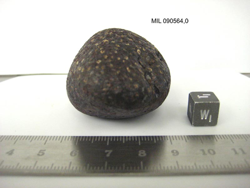 MIL090564,0w.jpg