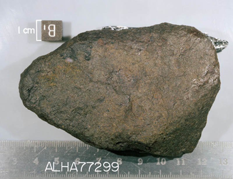 ALHA77299(S78-32513).jpg