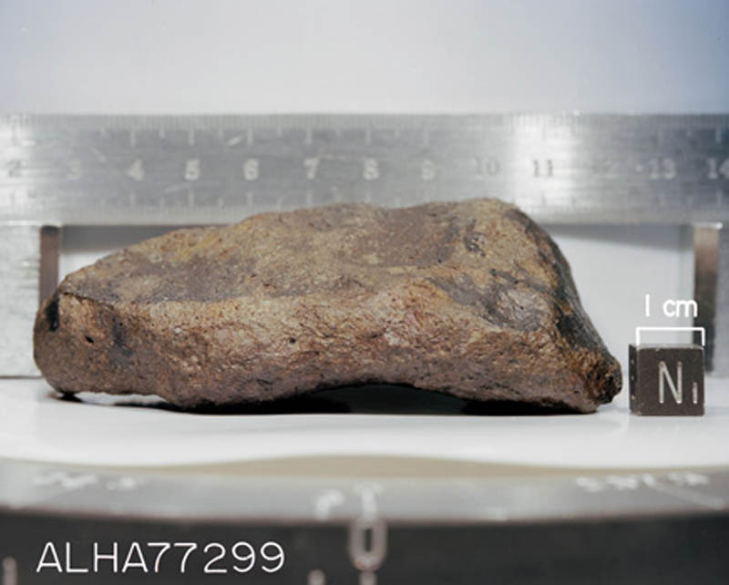 ALHA77299(S78-32518).jpg