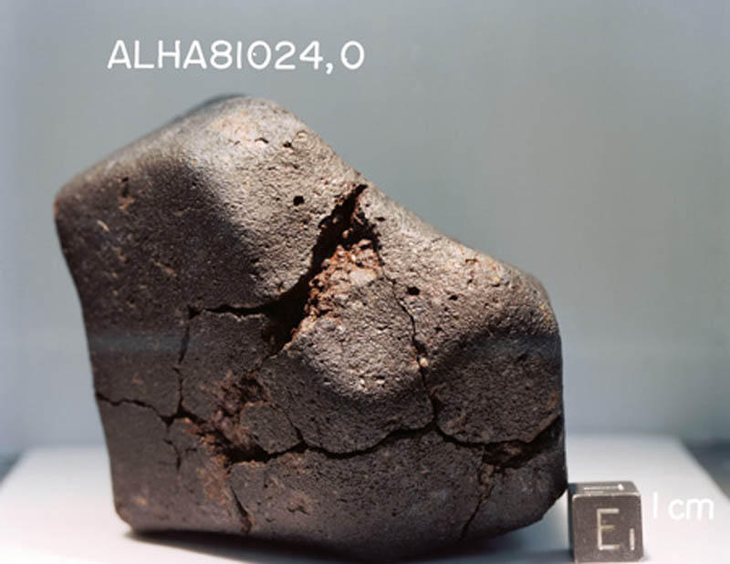 ALHA81024(S82-40039).jpg