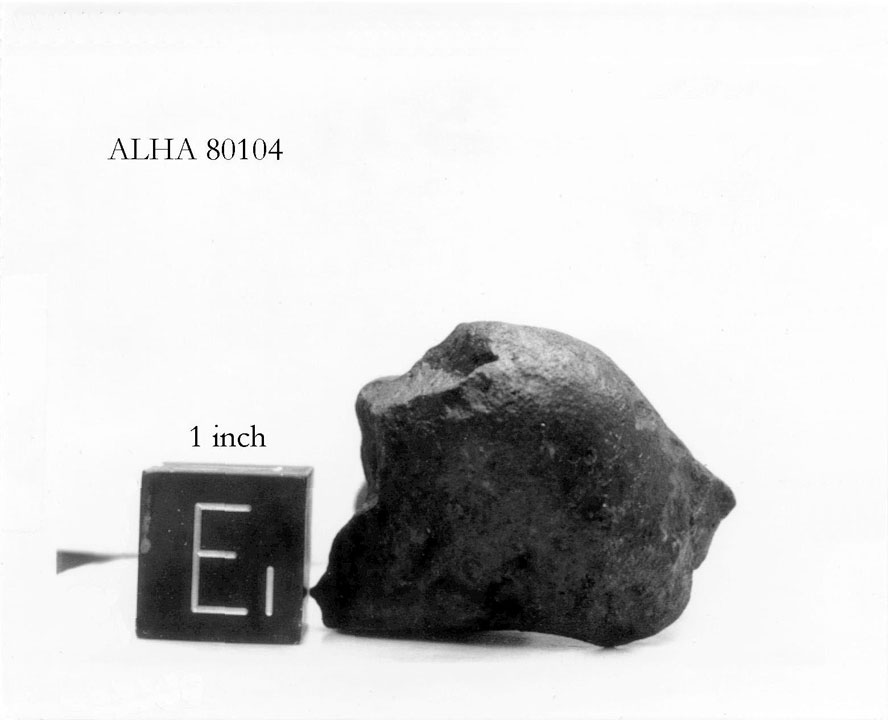 alha80104e.jpg