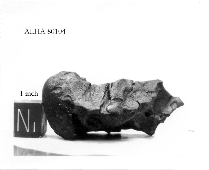 alha80104n.jpg