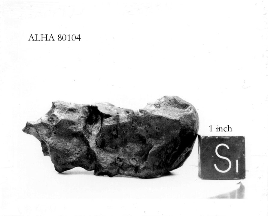 alha80104s.jpg