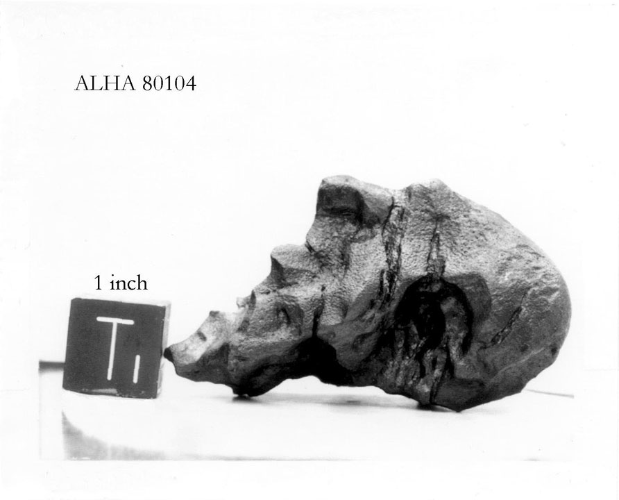 alha80104t.jpg