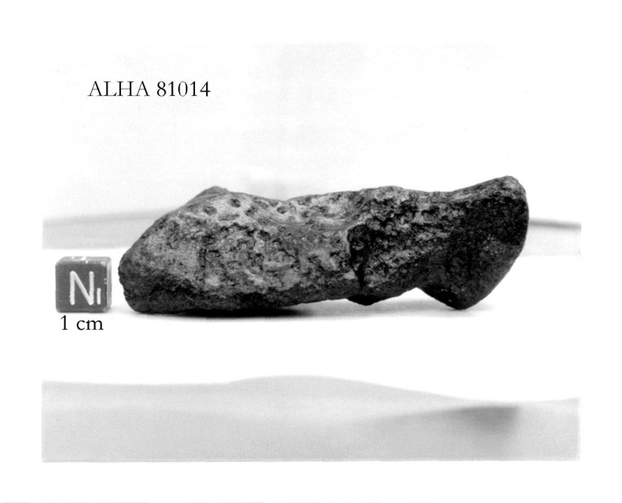 alha81014n.jpg