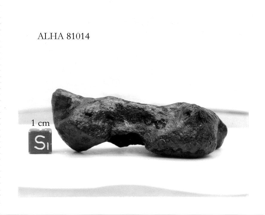 alha81014s.jpg