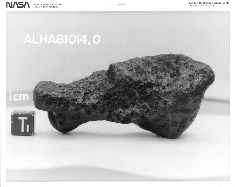 alha81014t2.jpg