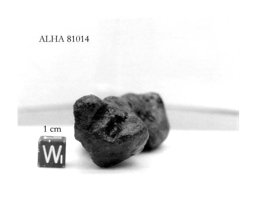 alha81014w.jpg