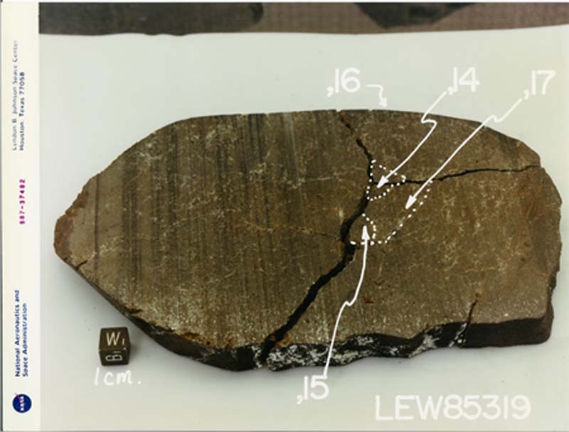 LEW85319(S87-37483).jpg
