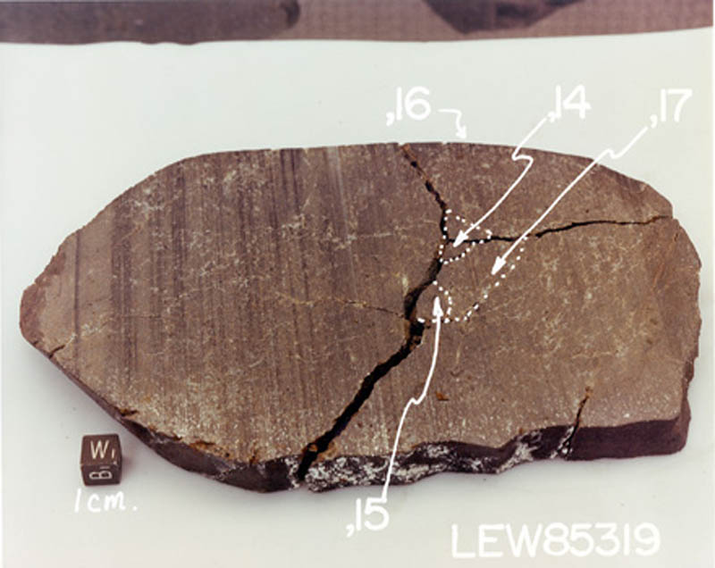 LEW85319B.jpg