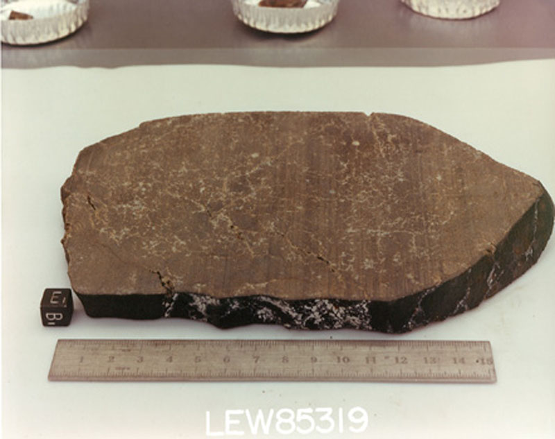 LEW85319C.jpg