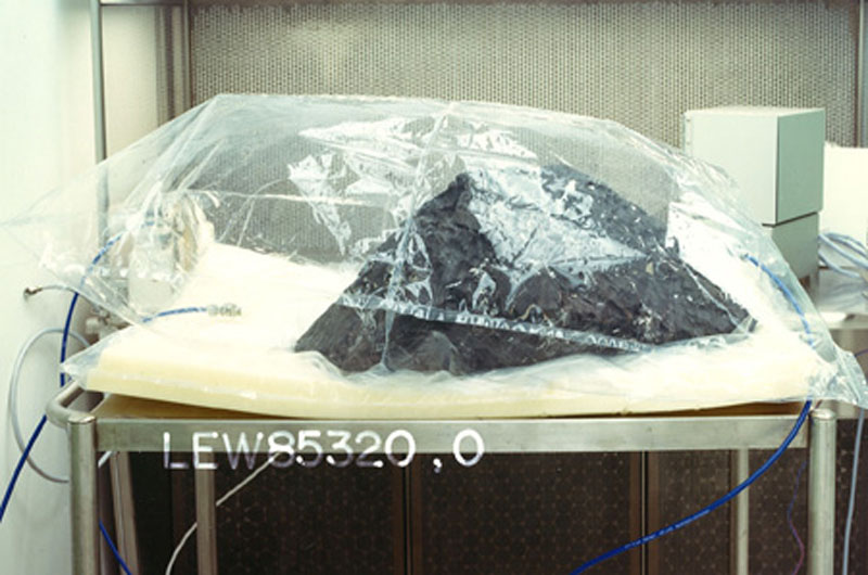 LEW85320I.jpg