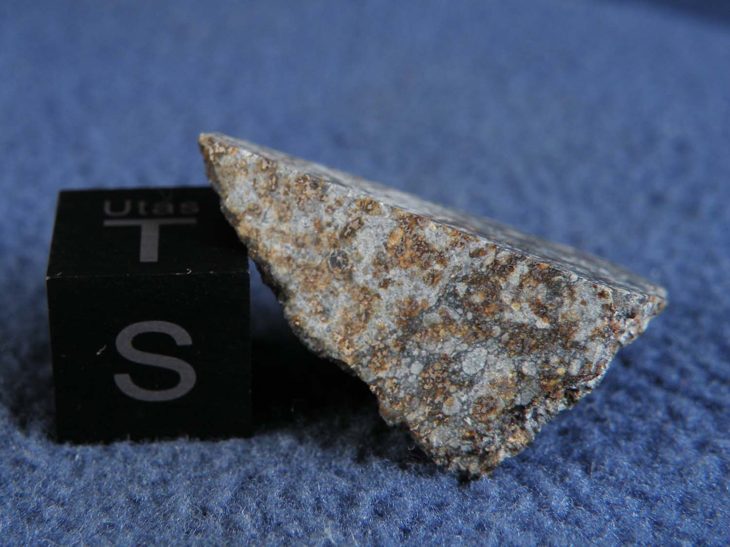 DSCN5480.jpg