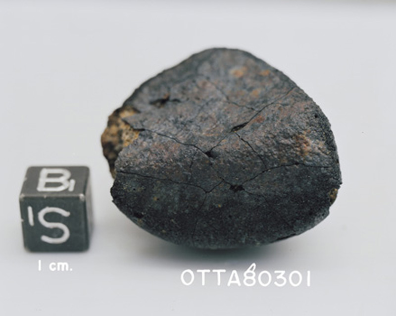 OTTA80301(S81-41572).jpg