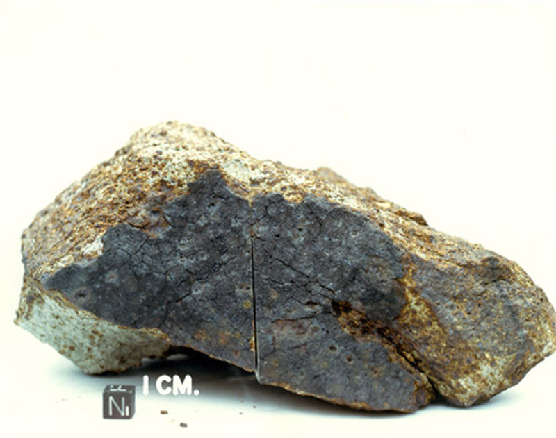 ALH76009A.jpg