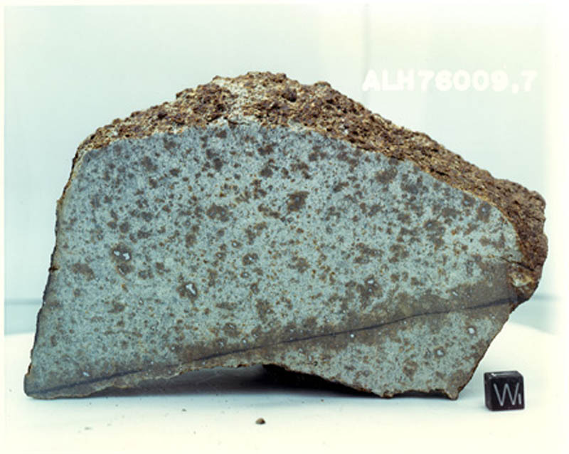 ALH76009C.jpg