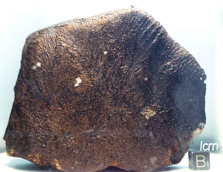 EET87542C.jpg