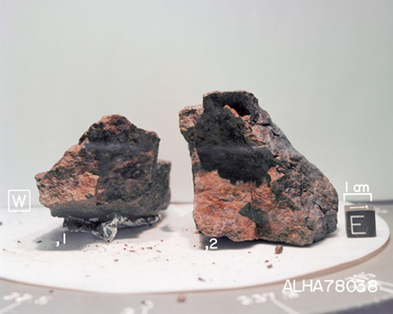ALHA78038(S80-29773).jpg