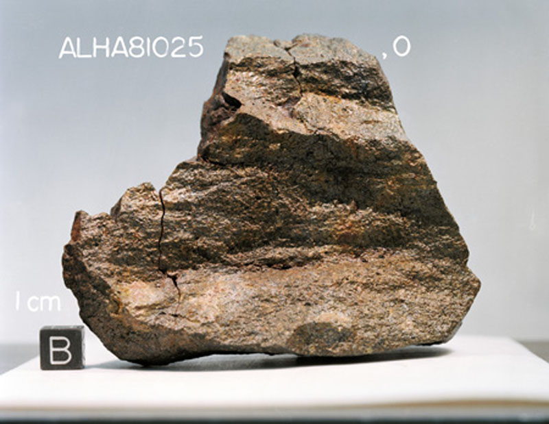 ALHA81025(S83-25173.jpg