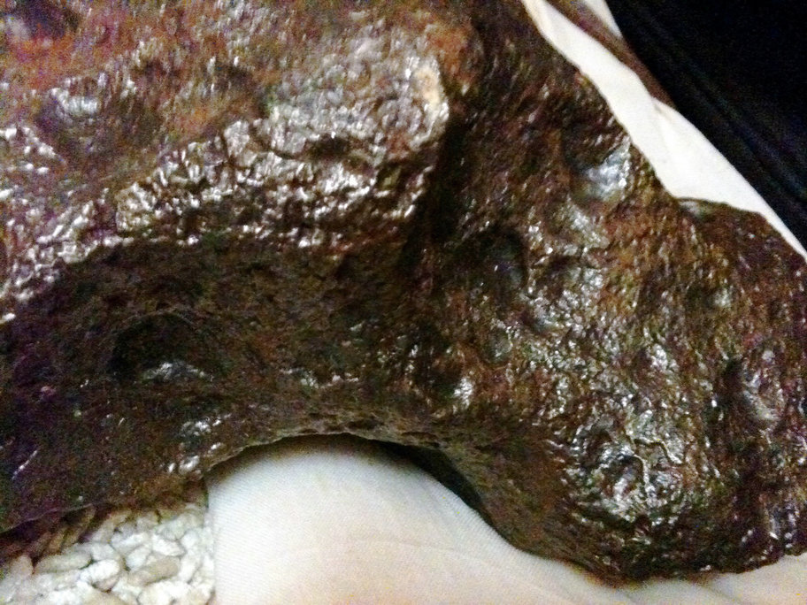 照片 005.jpg
