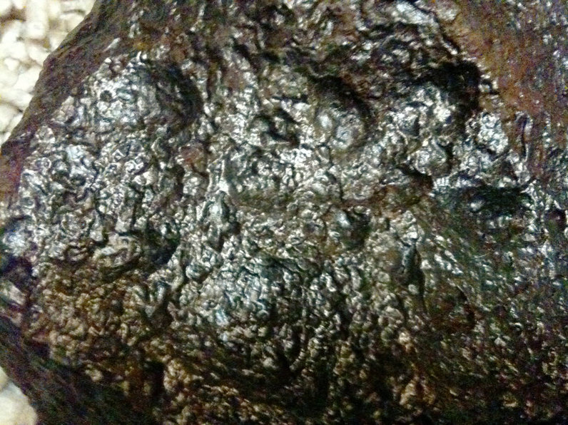 照片 008.jpg